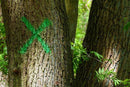 Cruz desenhada numa árvore com o Spray Marcação Temporária da Montana Colors. Este spray pode ser útil para a marcação de percursos em caminhadas ou provas de trail, corta-mato ou btt.