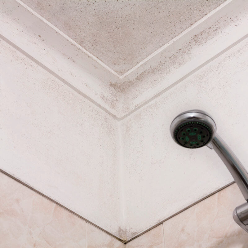 Parede da casa de banho com humidade, algo que pode ser evitado com a Membrana Anti Humidade da Ceys (AGUASTOP)