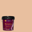 Embalagem da tinta para exteriores REVEPROA MATE SEDA sob um fundo que ilustra a cor BAIONA do catálogo de cor para fachadas da marca Pinturas Proa.