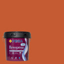 Embalagem da tinta para exteriores REVEPROA ACETINADA sob um fundo que ilustra a cor BARCELONA do catálogo de cores para fachadas da marca Pinturas Proa.