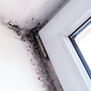 Canto junto à janela com humidade, algo que pode ser impedido com AGUASTOP - Membrana Anti Humidade (Ceys)