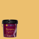 Embalagem da tinta para exteriores REVEPROA MATE SEDA sob um fundo que ilustra a cor RIANXO do catálogo de cores para fachadas da marca Pinturas Proa.