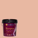 Embalagem da tinta para exteriores REVEPROA MATE SEDA sob um fundo que ilustra a cor SANXENXO do catálogo de cores para fachadas da marca Pinturas Proa.