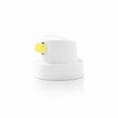 Pormenor do tranversal varnish cap.
